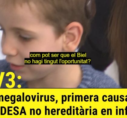 El citomegalovirus, primera causa de sordesa no hereditària en infants